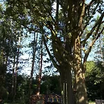 Bleichehof * Burg (Spreewald)