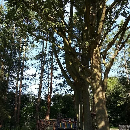 Bleichehof * Burg (Spreewald)