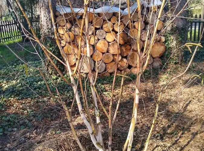 Bleichehof * Burg (Spreewald)