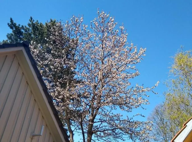 Bleichehof Ferienhaus Burg (Spreewald)