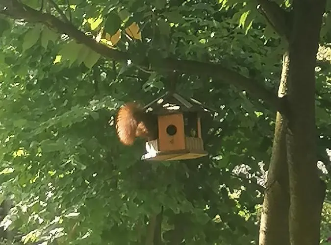 Bleichehof Ferienhaus *