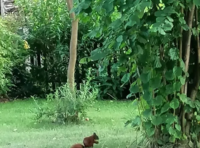 Ferienhaus Bleichehof