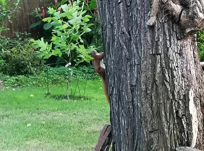 Casa de Férias Bleichehof