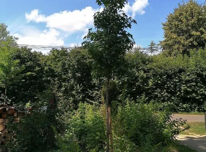 Bleichehof Ferienhaus *