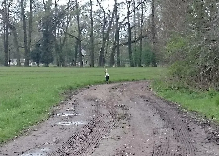 Bleichehof Casa de Férias