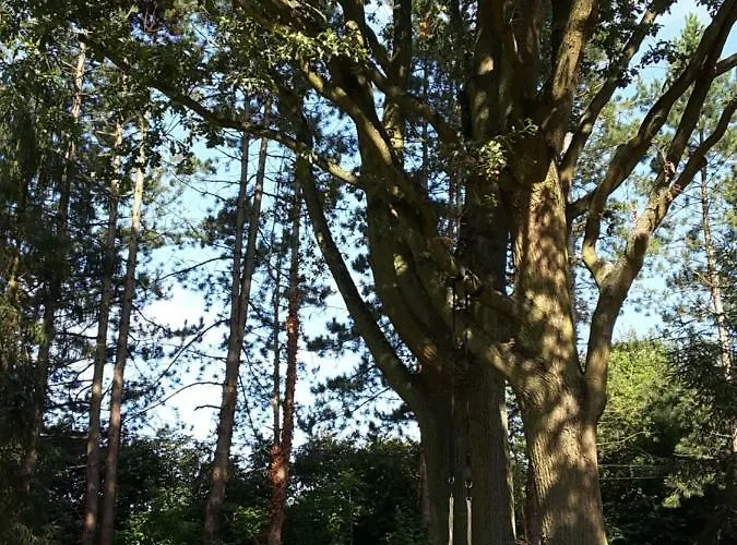 Bleichehof * Burg (Spreewald)